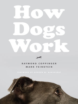 cover image of How Dogs Work